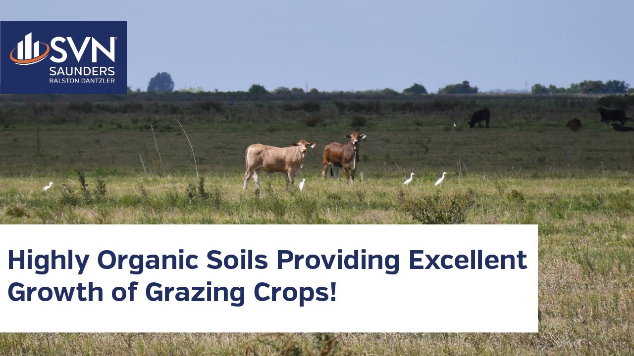 Premier Sunray Farms 4,151 Acres of Farmland FOR SALE in Lake Placid