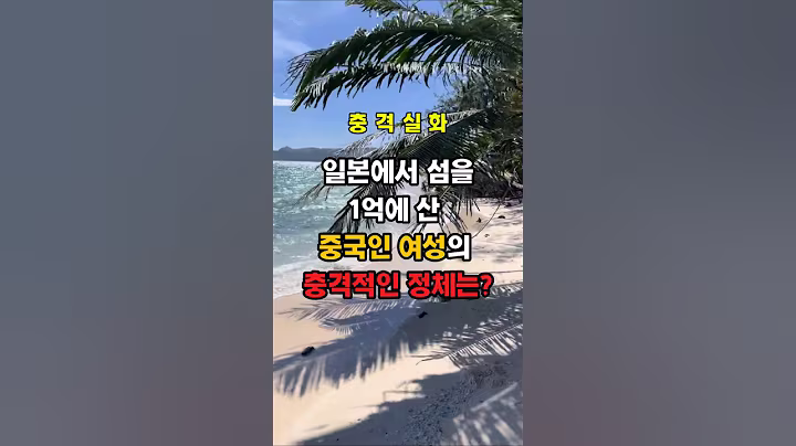 일본에서 섬을 1억에 산 중국인 여성의 충격적인 정체는!???