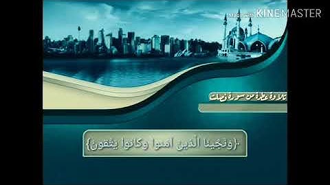 القارئ اسامه احمد حسن
