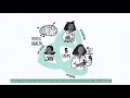 Mental Health Framework Quiz