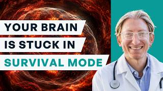 The Hidden Stress Response That's Hijacking Your Brain | Dr. Scott Sherr screenshot 3