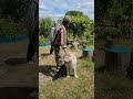 Деревня Толкачевичи, Минская область. Всем добра