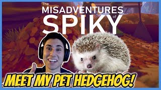 MEET MY PET HEDGEHOG! | The Misadventures of Spiky Game | Hedgehog Game! screenshot 1