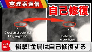 世界初観測「金属は自己修復する」Natureに掲載【橋本幸治の理系通信】（2023年7月21日）