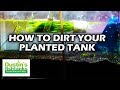 How to set up a planted tank how to use dirt in your planted tank substrate dirted tank tips