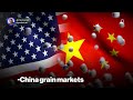 Data, Not Deals, Will Drive US-China Grain Markets | Presented by CME Group