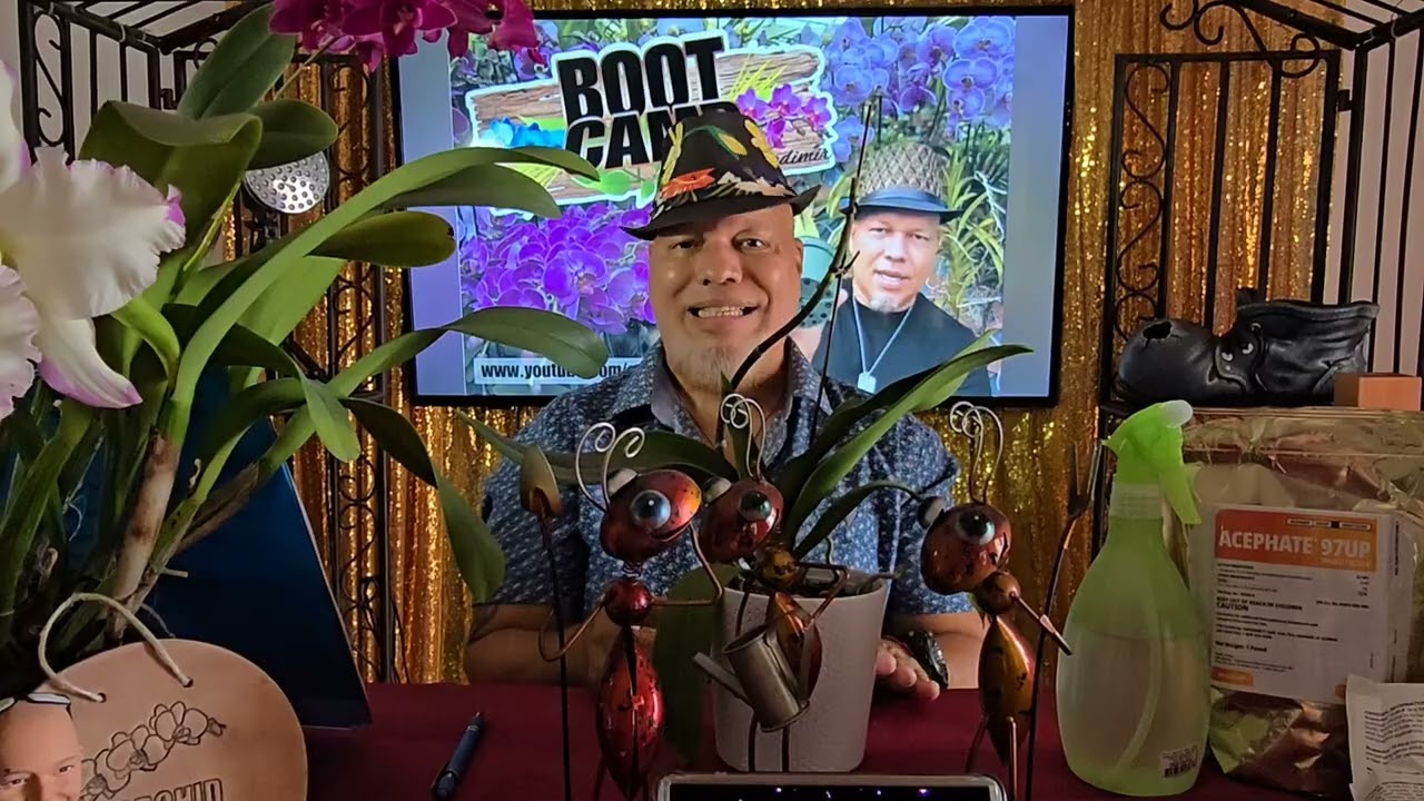 Boot Camp #058 - Qué hacer cuando traemos una 