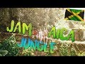 Hiking into the Jamaican Mountains