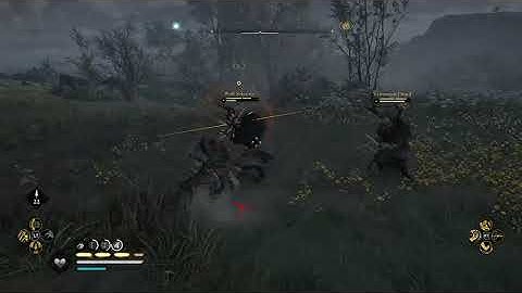 Weird bug in Assassins Creed:Valhalla(Ubisoft Support)