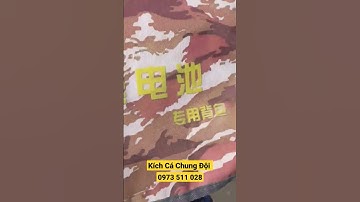 #55 Test Thực Tế Kích Cá Rô Phi Nước Sâu Kích Cá 25Đ - Máy Kích Cá Chung Đội Hưng Yên