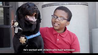 Facility Dog Bear's Incredible Impact | Canine Companions