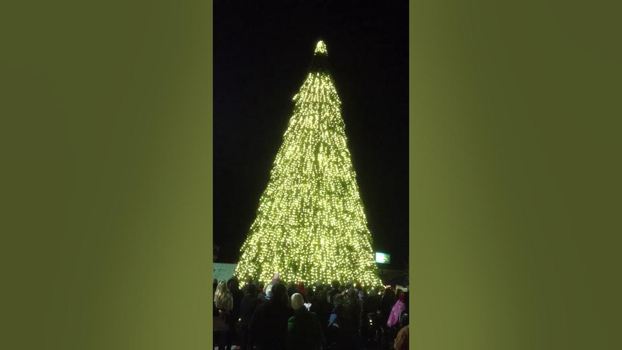Conway Christmas tree YouTube