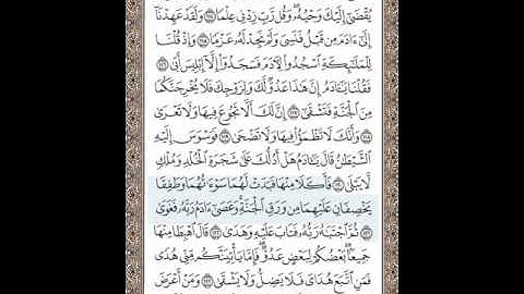 الشيخ المنشاوي سورة طه الوجه 320