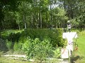 EdensReturn Farm Perennial Raised Bed: Raspberries, rhubarb, asparagus, wild flowers, and comfrey.