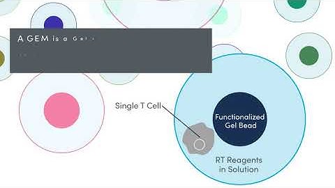 How it Works | Chromium Single Cell Immune Profiling Solution