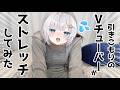 【ストレッチ】運動不足代表のVtuberが最近やってるストレッチを紹介してみた