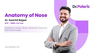 ENT - Anatomy of Nose | Introduction, Location, Bones, Framework, Dimensions, etc. | MBBS 3rd Year