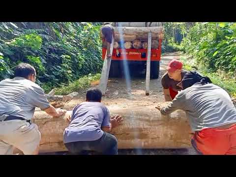 Video: Paano Dinadala Ang Troso