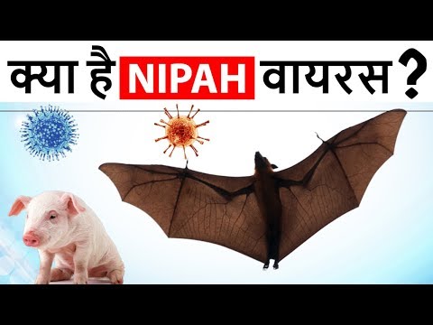 Nipah Virus in Kerala – केरल में निपा वायरस से 10 लोगों की मौत – Current Affairs 2018