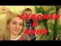 VLOG : СВИНГЕРЫ , А ВАМ НРАВИТЬСЯ ? 10.01.18