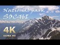 Sochi National Park. Russia. Amazing Caucasus. Nature relaxation film 4К 🎧