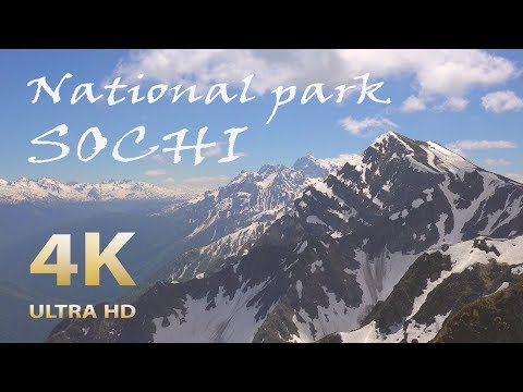 Сочинский национальный парк 4K 🎧