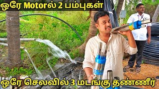 விவசாயத்தில் செலவு மிச்சப்படுத்தும் புதிய கண்டுபிடிப்பு | இங்கு மட்டும் தான் கிடைக்கும் |Yummy vlog