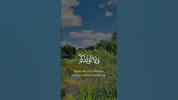 (لن تنفعكم أرحامكم ولا أولادكم يوم القيامة يفصل بينكم والله بما تعملون بصير ) [سورة الممتحنة ٣] 🤍💬⚘️