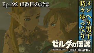 ゼルダの伝説 ウツシエの記憶 13枚目 ゼルダの伝説 ウツシエの記憶 13枚目