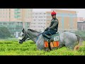 Trainer s padmanabhan talks about sir cecil