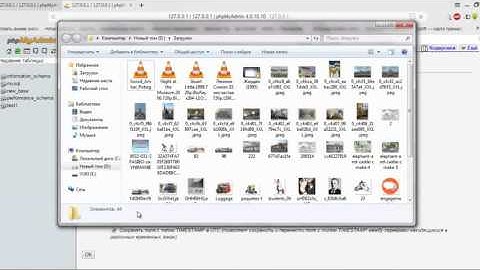 Импорт и экспорт БД PhpMyAdmin