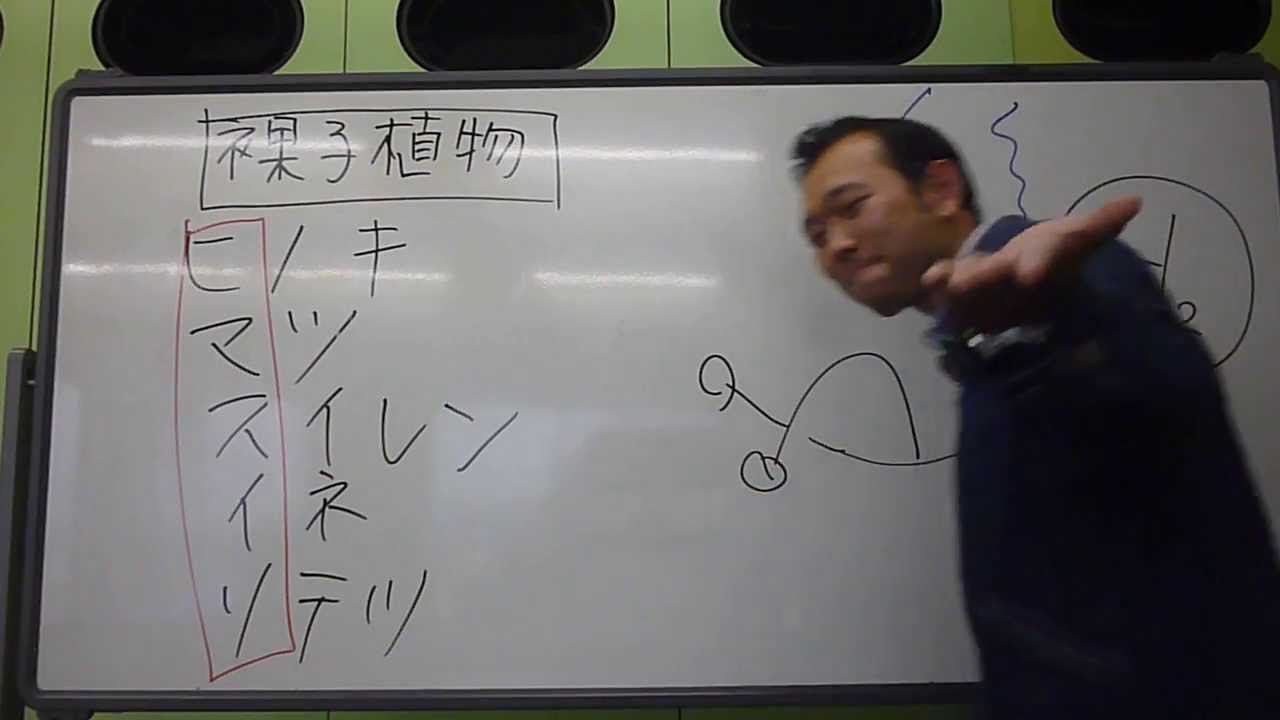 中１理科 裸子植物 語呂合わせ必見 Youtube