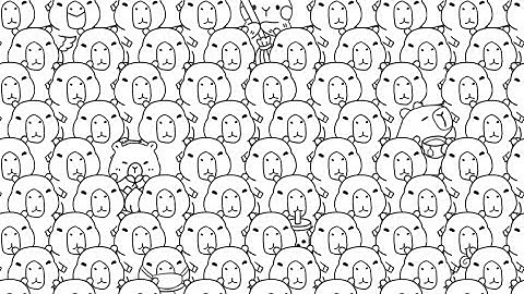 Mind Maze: Tricky Test - Level 33 Find 10 differents capybaras || Solution