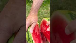 Watermelon Nature Pure Summer Feeling