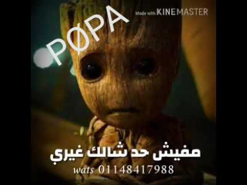 حالات واتس أب ي ناكر جميلي وخيري مفيش حد شالك غيري