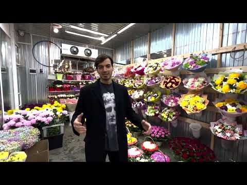 Доставка цветов по Москве и МО