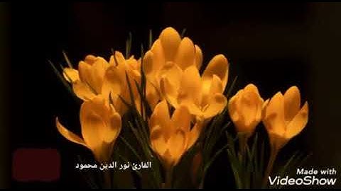 تلاوة خاشعة من ما تيسر من سورة الإنسان بمقام الصبا🖤