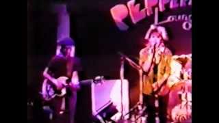 The Go-Go&#39;s - Live at Peppermint Lounge (New York 1981)(DHV 2011)