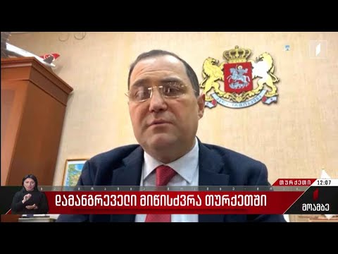 ვითარება თურქეთში - გიორგი ჯანჯღავას განცხადება