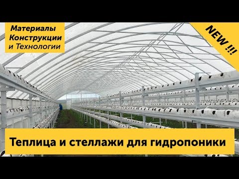 Теплица и стеллажи для гидропоники. Подробный обзор теплицы для выращивания клубники