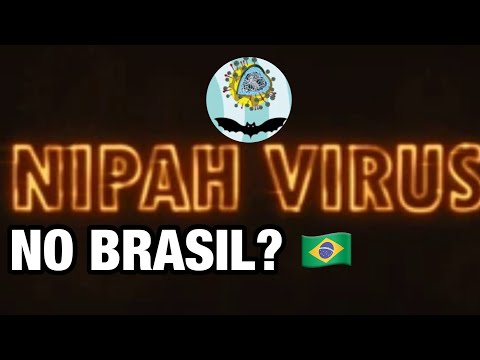 Nipah: Quais os