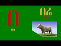 Ethiopian amharic alphabet     