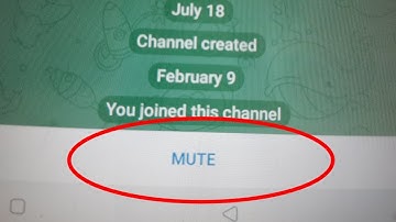 Remove Mute & Unmute Option & Visible Send Message Option In Telegram Channel