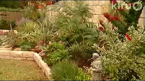 Lana & Robert Beyer: Central Texas Gardener