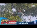 24h chuyn ng 1452024  tin tc hm nay  tayninhtv