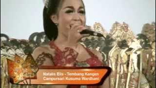 Natalis Elis - Tembang Kangen [STKIP Tulungagung]