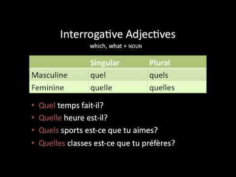 フランス語-尋問の形容