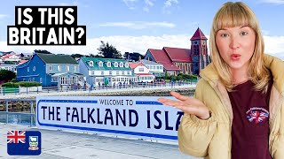 Exploring the Falkland Islands 🇫🇰 Britain’s Most Remote Island (Isla Malvinas)