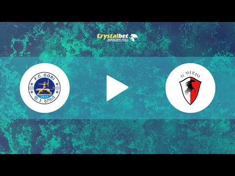 გორი - მერანი მარტვილი