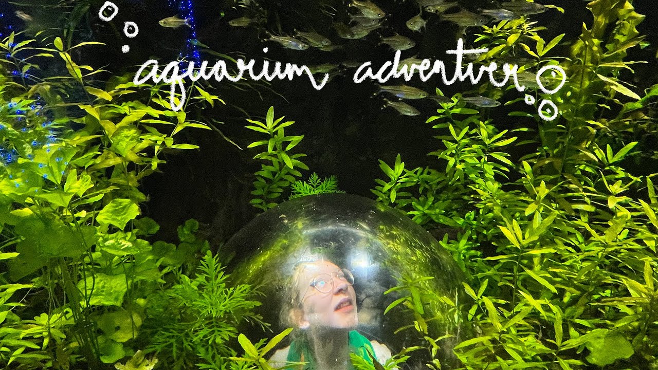 ediary: aquarium adventure 𓆝 𓆟 𓆞